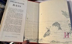 Freshwater bass fishing book Ray Bergman 1954, Illustrated. VG DJ. Stunning art.