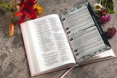 NIV, The Busy Mom’s Bible, Leathersoft over Board, Pink, Red Letter, Comfort…