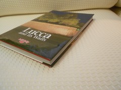 LUCCA AND ITS WALLS 2013 HARDCOVER LELLI KELLY 294 PAGES ISBN ‎ 978-8896527153