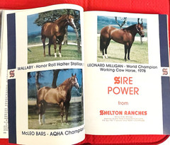 1979 Quarter Horse Journal, Book, STALLION EDITION! – KIDNAP BAR – ZAN PARR BAR