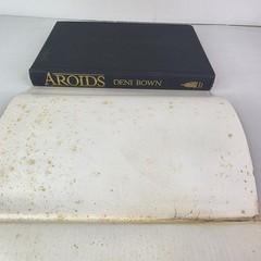 Aroids : Plants of the Arum Family by Deni Bown (2000, Hardcover)