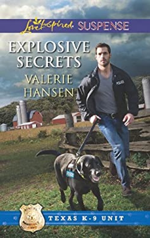 Explosive Secrets Mass Market Paperbound Valerie Hansen