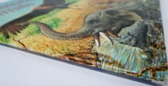1978 Prehistoric Animals by Peter Zallinger Random House (PB)
