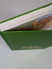 Kaufman, J.B. South of the Border with Disney. Walt Disney First Edition