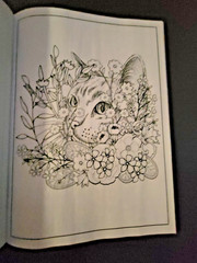 Cat Coloring -32 Spring-Inspired Designs-Relaxing & Inspirational Adult Coloring