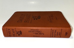 Daily Feast: Meditations from Feasting on the Word Year C, First Edition EUC
