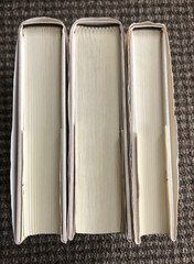 LOT of „Feasting on the Word Year C,” volumes 1, 2, 3: HC, 2009 edition