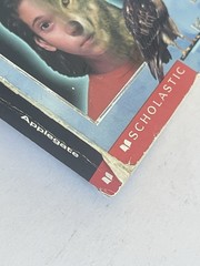 Animorphs Paperback 38 Book Lot -K. A. Applegate First Printing Paperback 90’s