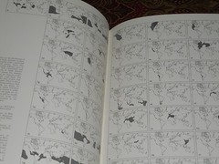 Ocean Birds Lars Lofgren 1984 HC/DJ 1st Edition Orinthology SEABIRDS Textbook