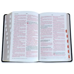 Biblia Peshitta Pastoral del Araemo de los antiguos manuscritos con indice