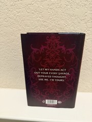 Waterstones Signed Exclusive Dire Bound by Sable Sorensen OOP Sprayed Edge Copy