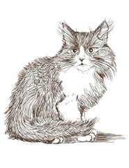 Color the Cats Adult coloring book 108 Pages 8.5 x 11 for All Ages