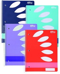 Hilroy ColourHide Poly 5-Subject Notebook, 250 Ruled Pages, 8.5 x 11 Inches,…