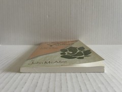 The Secret of the Yamas : A Spiritual Guide to Yoga by John McAfee (2001, Trade