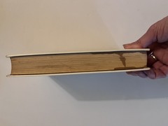 Superstar by Viva. G.P. Putnam’s Sons. First Edition. 1970
