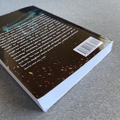 Wav File Paperback – February 2, 2021 by Rich King