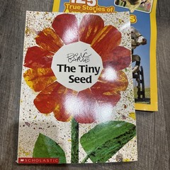 Lot of 5 Children’s Books From 2010s Learning and Fun to Read Paper/Hard Cover