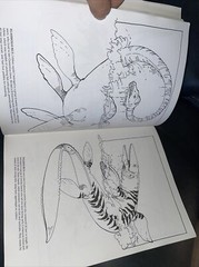 Dinosaur Coloring Book (Dover Nature Coloring Book) by Anthony Rao 90% Uncolored