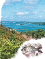 Book In Ukrainian Річки й озера Author not specified Rivers And Lakes