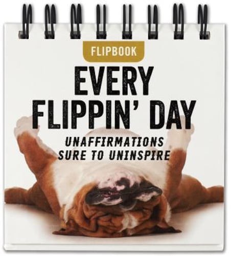Every Flipping Day Desktop Flipbook by Inc Peter Pauper Press: Used