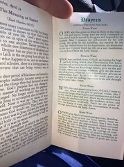 Lenten Devotional Readings For Young People 3/3-4/18 (24 Pages)