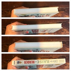 How to Raise a Reader Book Pamela Paul Maria Russo Parenting Guide
