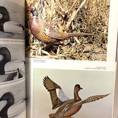 VTG GAME BIRD CARVING HB Book by Bruce Burk (1972) with Dust Jacket