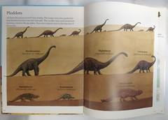 Rupert Matthews – T.R. (Tyrannosaurus Rex) & Friends Hardcover Picture Book 1988