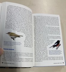 Kaufman Field Guide to Advanced Birding SC 2011 Houghton Mifflin Very Good