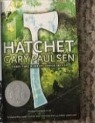 12 Children’s Kid’s Classic Books Lot: Scary, Snicket, Boxcar, Hatchet, OZ