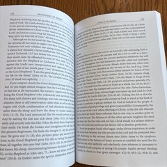 Beginning At Moses By Michael P. V. Barrett PB
