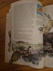 The World of Dinosaurs by Richard Moody – 1978 Hardcover Children’s Book