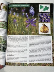 The Forager’s Guide to Wild Foods Book By Nicole Apelian, 2021 North American Ed