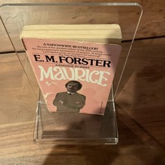 Maurice by E.M. Forster 1973 First Printing Signet Paperback LGBTQ+ Novel PB