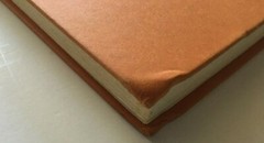 CORMAC McCARTHY, THE ROAD, 1ST ED, 2006, HCDJ
