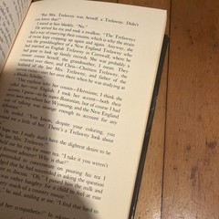 Trelawny Isabelle Holland 1974 Hardcover Dust Jacket Gothic Fiction Novel