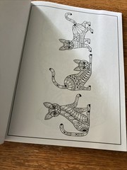 Cat Coloring Book 32 Playful Spring- Inspired Designs