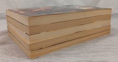 Adventures of the Nothwoods Boxed Set #2 6 7 8 9 10 Lois Walfrid Johnson PB Lot