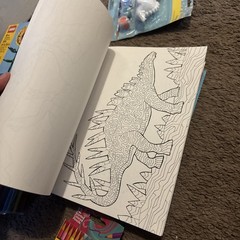 Variety Adult Coloring Books Pencil ETC