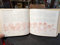 Original 1978 Reader’s Digest Illustrated Guide To Gardening 672 Pages