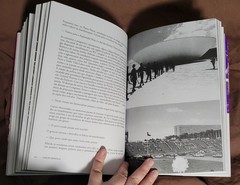 Renato Russo: O Filho da Revoluçao – Carlos Marcelo – Brazilian musician