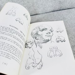 Heads, Features and Faces Bridgman 1974 Dover Edition Art Drawing Anatomy