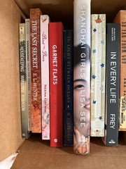 Mixed Fiction Lot of 16 Women’s Lit Book Club Favorites Contemporary historic