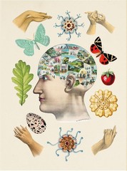 The Antiquarian Sticker Book: Over 1,000 Exquisite Victorian Stickers (The
