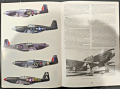 P-51 P-51A A-36 MUSTANG – Seria Pod Lupa #1 – Polish w/English Summary