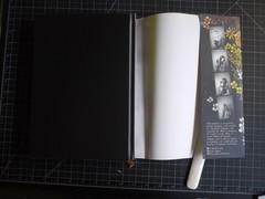 Blossoms and Bones: Drawing a Life Back Together by Kim Krans 1st ED/Pr Hdcover