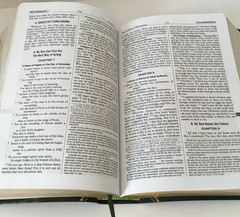 St. Joseph Edition Of The New American Bible Revised 2011 Book Green