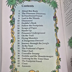The Incredible Dinosaur Expedition Karen Dolby Usborne Puzzle Kids Book Vintatge