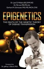 Epigenetics: The Death of the Genetic Theory of Disease Transmission – GOOD