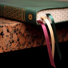 NBLA, Biblia para la Lectura Pública, Versificada, Letra Grande, Piel de Cabra,